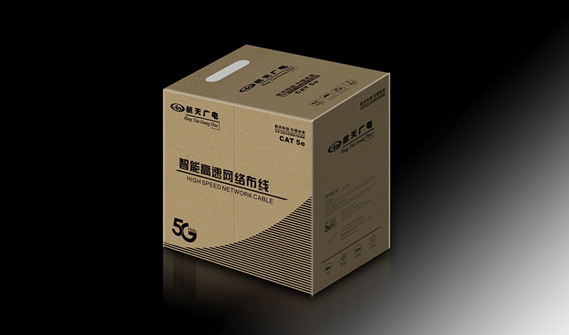 智能高速網絡布線  CAT 5e